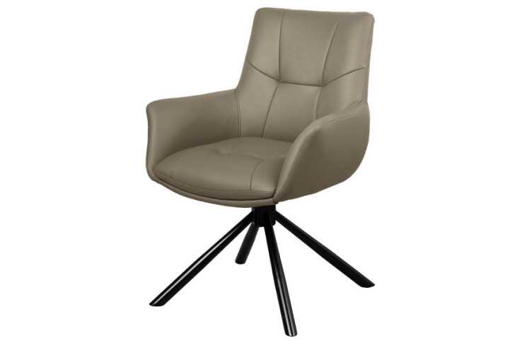  LÄDER TAUPE & ARMSTÖD