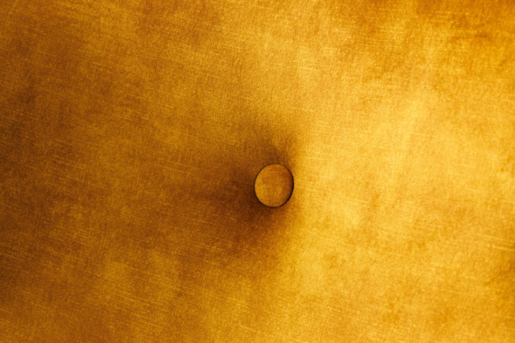  SAMMET SENAPSGUL / SVART & SILVER