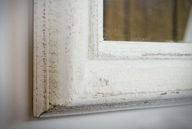 FLORINA - 74X104CM VIT FÖNSTERSPEGEL 2