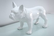 KIARA - PRYDNADSHUND BULLDOG I VITT