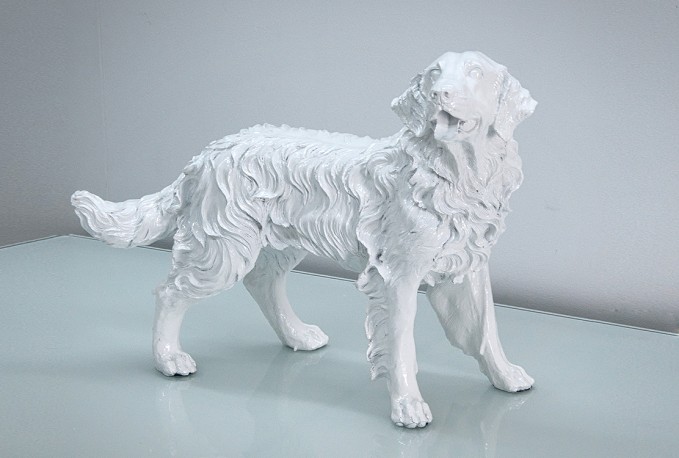 JINA - PRYDNADSHUND GOLDEN RETRIEVER I VITT