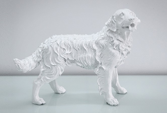 JINA - PRYDNADSHUND GOLDEN RETRIEVER I VITT