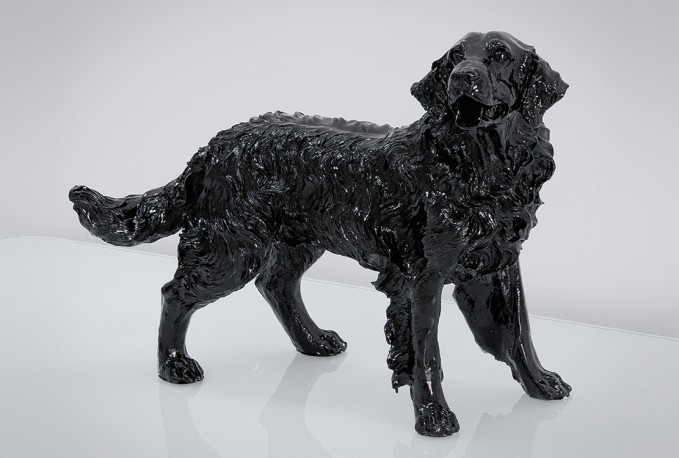 JINA - PRYDNADSHUND GOLDEN RETRIEVER I SVART