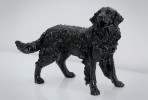 JINA - PRYDNADSHUND GOLDEN RETRIEVER I SVART