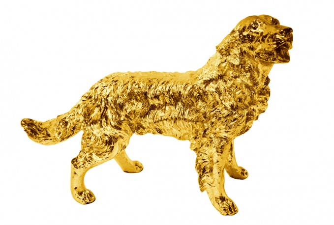 JINA - PRYDNADSHUND GOLDEN RETRIEVER I GULD