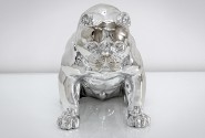 CHRISTA - PRYDNADSHUND PITBULL I SILVER