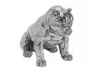 CHRISTA - PRYDNADSHUND PITBULL I SILVER