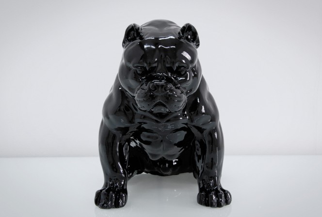 CHRISTA - PRYDNADSHUND PITBULL I SVART 2