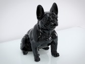 DAWA - PRYDNADSHUND FRENCH BULLDOG I SVART