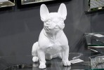 DAWA - PRYDNADSHUND FRENCH BULLDOG I VITT