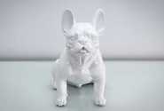 DAWA - PRYDNADSHUND FRENCH BULLDOG I VITT