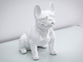 DAWA - PRYDNADSHUND FRENCH BULLDOG I VITT