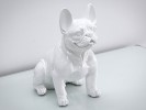 DAWA - PRYDNADSHUND FRENCH BULLDOG I VITT