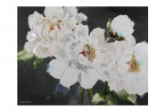 AVENA - 90X120CM TAVLA VITA BLOMMOR