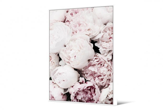LOTTIE - 102X142CM TAVLA ROSA ROSOR