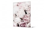 LOTTIE - 102X142CM TAVLA ROSA ROSOR
