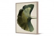 EDESSA - 104X144CM BOTANISK TAVLA