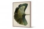 EDESSA - 104X144CM BOTANISK TAVLA