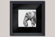 HEIKKI - 60X60CM TAVLA ELEFANT