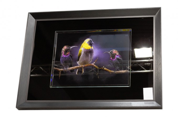 RUSSU - 80X60CM TAVLA FÅGLAR PÅ EN GREN