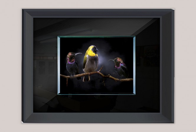 RUSSU - 80X60CM TAVLA FÅGLAR PÅ EN GREN