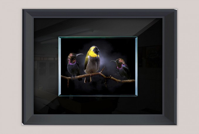 RUSSU - 80X60CM TAVLA FÅGLAR PÅ EN GREN