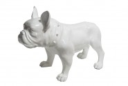 KIARA - PRYDNADSHUND BULLDOG I VITT