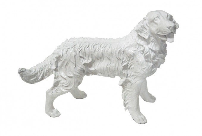 JINA - PRYDNADSHUND GOLDEN RETRIEVER I VITT