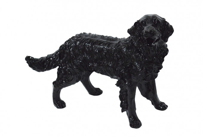 JINA - PRYDNADSHUND GOLDEN RETRIEVER I SVART