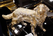 JINA - PRYDNADSHUND GOLDEN RETRIEVER I GULD