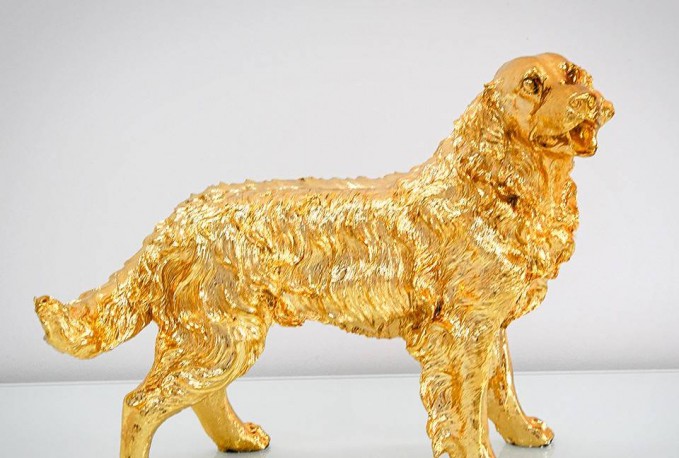 JINA - PRYDNADSHUND GOLDEN RETRIEVER I GULD