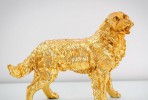 JINA - PRYDNADSHUND GOLDEN RETRIEVER I GULD