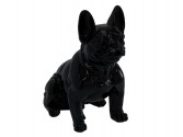 DAWA - PRYDNADSHUND FRENCH BULLDOG I SVART