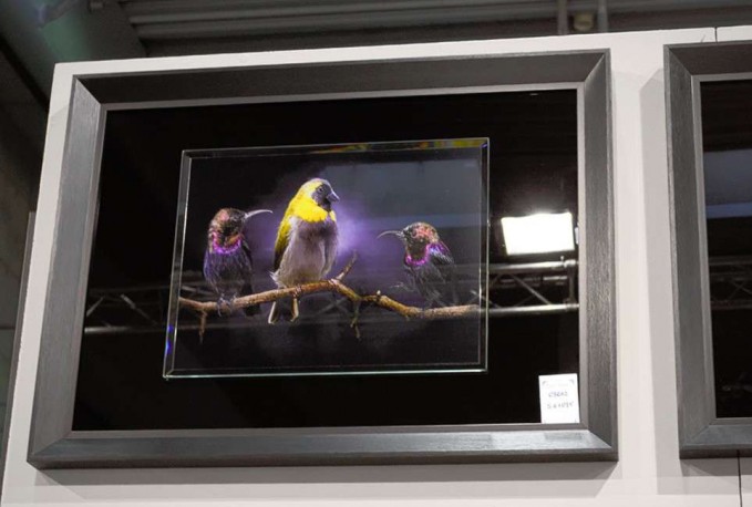 RUSSU - 80X60CM TAVLA FÅGLAR PÅ EN GREN