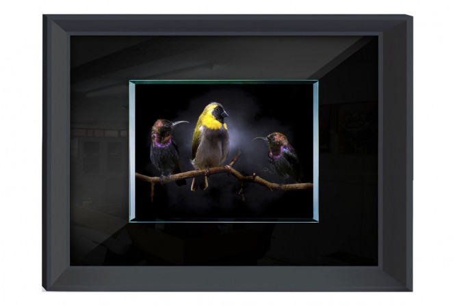 RUSSU - 80X60CM TAVLA FÅGLAR PÅ EN GREN 2