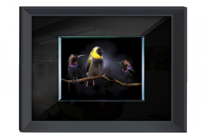 RUSSU - 80X60CM TAVLA FÅGLAR PÅ EN GREN