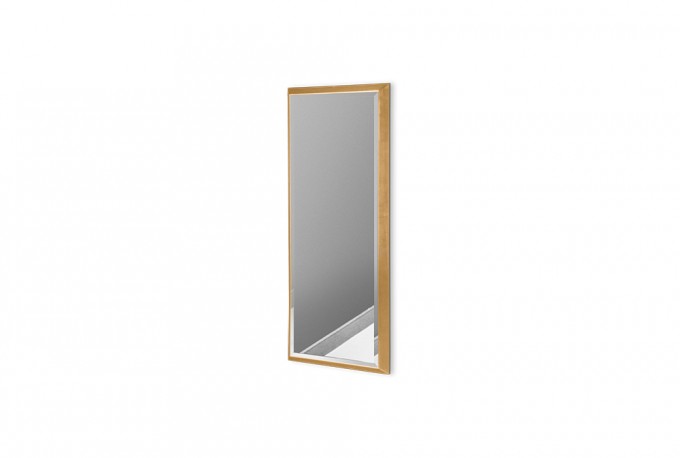 Modern mirror in a gold frame 18 x 53 cm