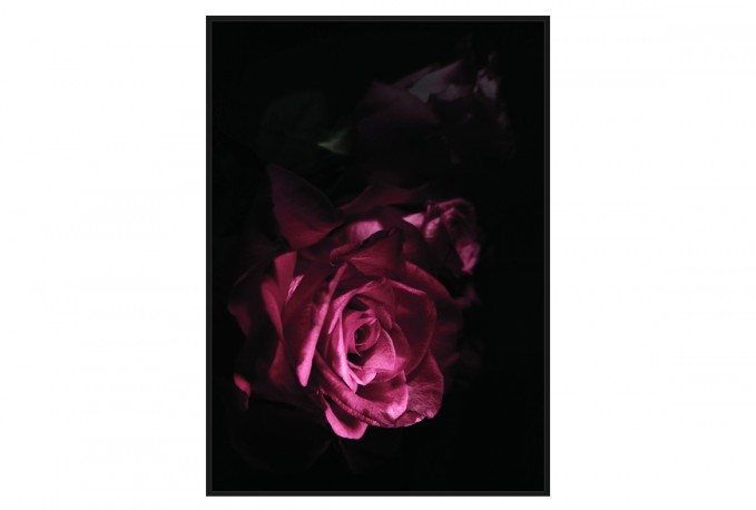 Modern painting with rose 102x142