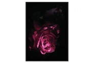 Modern painting with rose 102x142