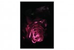 Modern painting with rose 102x142