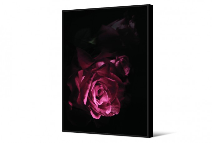 Modern painting with rose 102x142