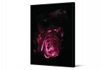 Modern painting with rose 102x142