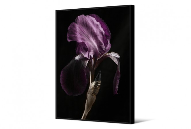 Picture with a purple flower 83x123 2