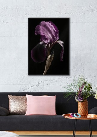 Picture with a purple flower 83x123