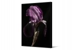 Picture with a purple flower 102x142