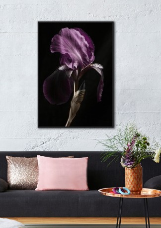 Picture with a purple flower 102x142