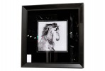 Painting character horse 60 x 60 cm