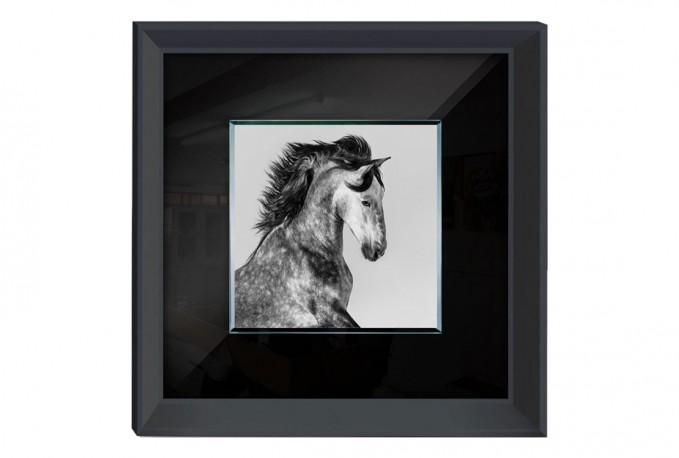 Painting character horse 60 x 60 cm