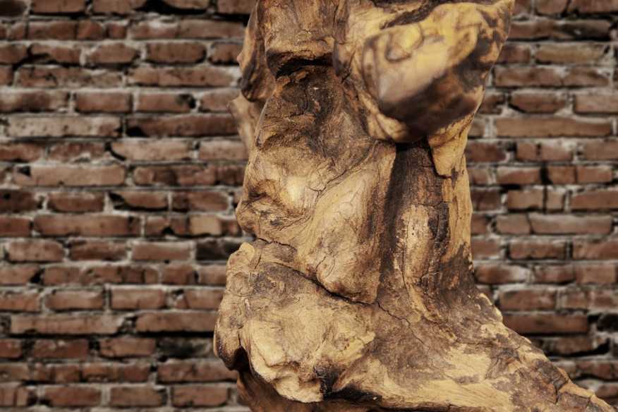 Tischleuchte aus Treibholz Hypnotic braun