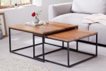 Elements coffee table set of 2 - frame